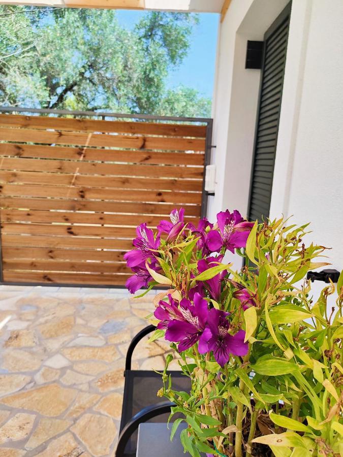 The Old Stables Apartment Vatos Bagian luar foto
